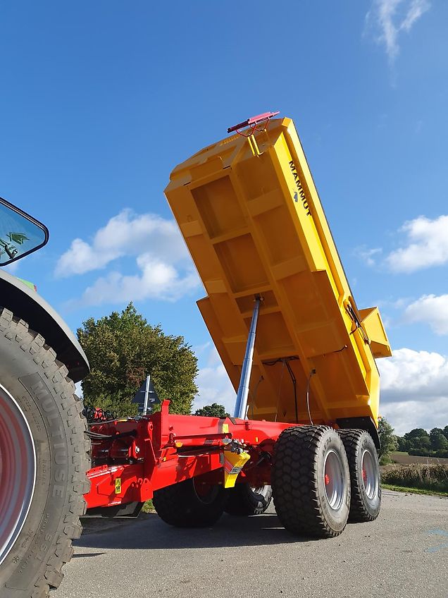 MAMMUT Schwerlastkipper, Erdkipper, Sandkipper, Baumuldenkipper, Küstenschutzkipper 22 E