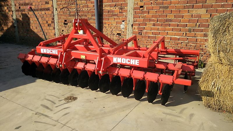 Knoche DIM 40/RP 595