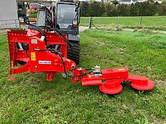 Weidemann Zaunkönig