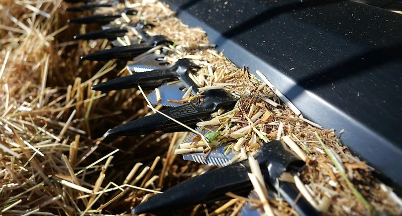 Honey Bee ST 36 - BANDSCHWADMÄHWERK