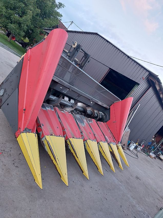 Ziegler Sunflower champion